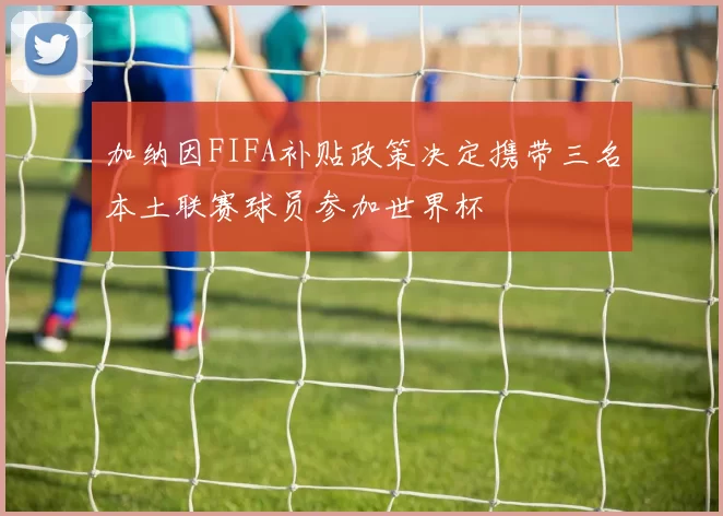 加纳因FIFA补贴政策决定携带三名本土联赛球员参加世界杯